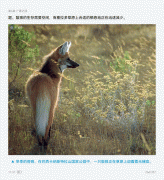 部BBC的神做——《地球脉动Ⅲ：最初的秘境》 